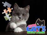 QUEBRA-CABEÇA DE GATOS BONITOS