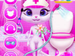 Fancy Kitty Kate Preocupada com esporte